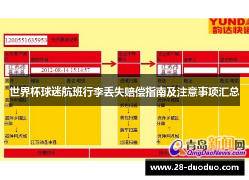 世界杯球迷航班行李丢失赔偿指南及注意事项汇总