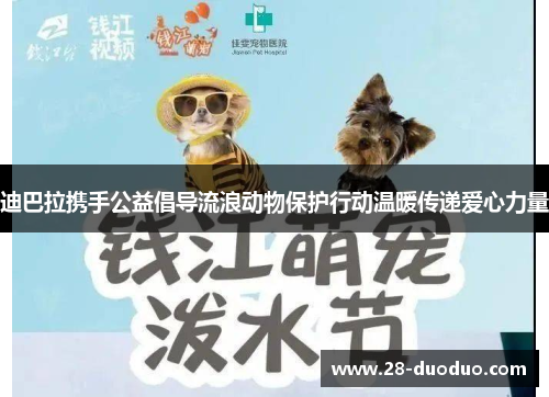 迪巴拉携手公益倡导流浪动物保护行动温暖传递爱心力量